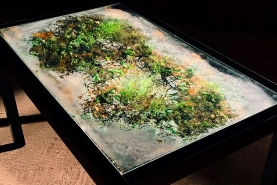 256061491_3060890227499455_8585264131676057322_n-scaled-e1636970261827