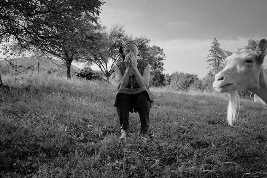 STILLS_Strigov-1200x675