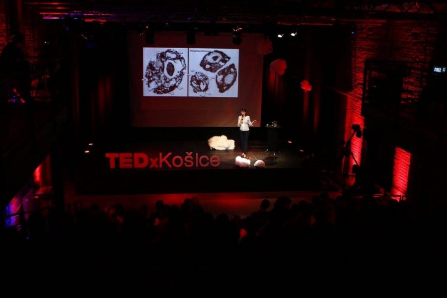 TEDx-scaled