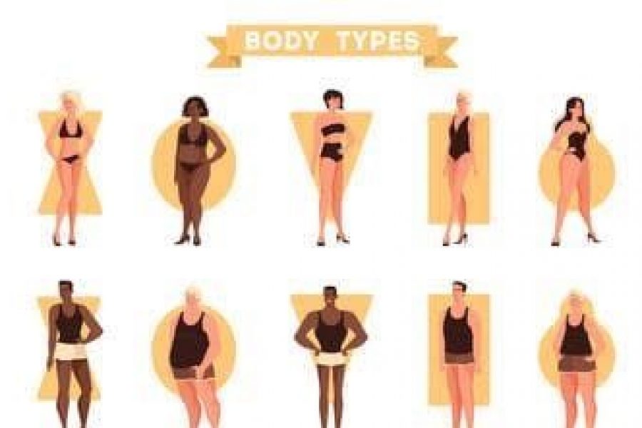 body_types_cropped