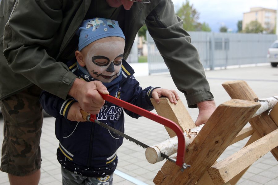 denmestskychpodnikov31