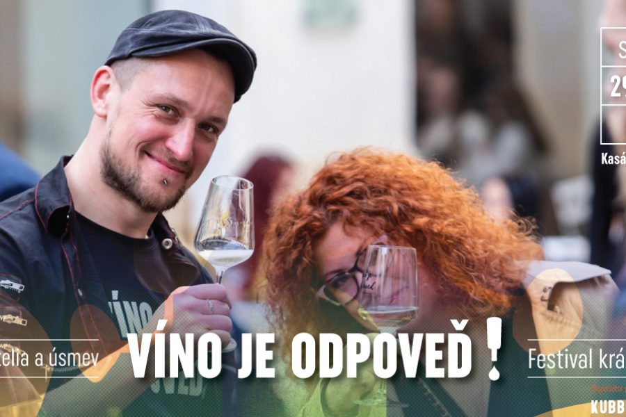 vino_je_odpoved_mood-03_cropped